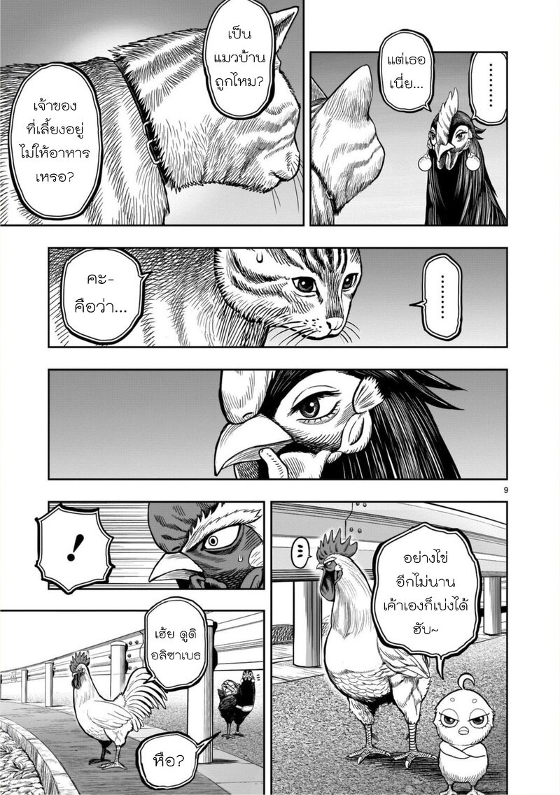 Rooster Fighter 9 (9)